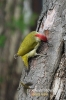 Filename=271_fotowilga~0.JPG
Filesize=94KB
Dimensions=360x540
Date added=May 05, 2012 271_fotowilga~0.JPG