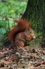 Filename=282_fotowilga~0.JPG
Filesize=99KB
Dimensions=360x540
Date added=Apr 25, 2012 282_fotowilga~0.JPG