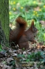 Filename=295_fotowilga~0.JPG
Filesize=89KB
Dimensions=360x540
Date added=Apr 24, 2012 295_fotowilga~0.JPG