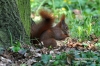Filename=296_fotowilga~0.JPG
Filesize=149KB
Dimensions=720x480
Date added=Apr 25, 2012 296_fotowilga~0.JPG