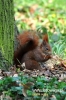 Filename=297_fotowilga.JPG
Filesize=92KB
Dimensions=360x540
Date added=Apr 25, 2012 297_fotowilga.JPG