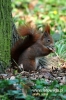 Filename=298_fotowilga~0.JPG
Filesize=92KB
Dimensions=360x540
Date added=Apr 24, 2012 298_fotowilga~0.JPG