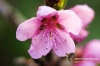 Filename=300_fotowilga~0.JPG
Filesize=105KB
Dimensions=720x480
Date added=May 25, 2012 300_fotowilga~0.JPG