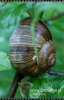 Filename=300_fotowilga~6.JPG
Filesize=217KB
Dimensions=347x540
Date added=Dec 27, 2011 300_fotowilga~6.JPG