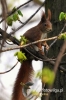 Filename=301_fotowilga.JPG
Filesize=80KB
Dimensions=360x540
Date added=Apr 24, 2012 301_fotowilga.JPG