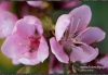 Filename=302_fotowilga.jpg
Filesize=112KB
Dimensions=720x497
Date added=Jan 03, 2012 302_fotowilga.jpg