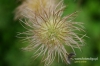 Filename=305_fotowilga~2.JPG
Filesize=115KB
Dimensions=720x480
Date added=Jun 19, 2011 305_fotowilga~2.JPG