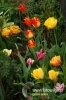 Filename=312_fotowilga.JPG
Filesize=122KB
Dimensions=360x540
Date added=Mar 31, 2012 312_fotowilga.JPG