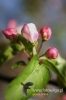 Filename=321_fotowilga~0.JPG
Filesize=75KB
Dimensions=360x540
Date added=May 29, 2012 321_fotowilga~0.JPG