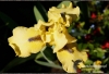 Filename=322_fotowilga~5.JPG
Filesize=116KB
Dimensions=720x495
Date added=Feb 10, 2012 322_fotowilga~5.JPG
