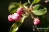 Filename=323_fotowilga~0.JPG
Filesize=98KB
Dimensions=720x480
Date added=May 29, 2012 323_fotowilga~0.JPG