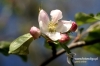 Filename=328_fotowilga~1.JPG
Filesize=100KB
Dimensions=720x480
Date added=May 30, 2012 328_fotowilga~1.JPG