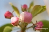 Filename=331_fotowilga~0.JPG
Filesize=95KB
Dimensions=720x480
Date added=May 30, 2012 331_fotowilga~0.JPG
