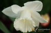 Filename=334_fotowilga.JPG
Filesize=82KB
Dimensions=720x480
Date added=Mar 27, 2012 334_fotowilga.JPG