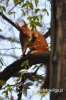 Filename=338_fotowilga~0.JPG
Filesize=81KB
Dimensions=360x540
Date added=Apr 24, 2012 338_fotowilga~0.JPG