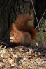 Filename=342_fotowilga~0.JPG
Filesize=93KB
Dimensions=360x540
Date added=Apr 28, 2012 342_fotowilga~0.JPG