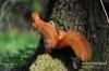Filename=356_fotowilga~0.JPG
Filesize=125KB
Dimensions=720x480
Date added=Apr 24, 2012 356_fotowilga~0.JPG