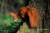 Filename=360_fotowilga.JPG
Filesize=130KB
Dimensions=720x480
Date added=Apr 30, 2012 360_fotowilga.JPG