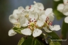 Filename=360_fotowilga~0.JPG
Filesize=99KB
Dimensions=720x480
Date added=Jun 01, 2012 360_fotowilga~0.JPG
