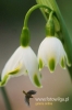 Filename=370_fotowilga.JPG
Filesize=76KB
Dimensions=360x540
Date added=Mar 26, 2012 370_fotowilga.JPG