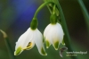 Filename=371_fotowilga.JPG
Filesize=124KB
Dimensions=720x480
Date added=Mar 26, 2012 371_fotowilga.JPG
