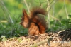 Filename=379_fotowilga~0.JPG
Filesize=127KB
Dimensions=720x480
Date added=May 01, 2012 379_fotowilga~0.JPG