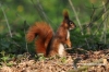 Filename=381_fotowilga.JPG
Filesize=132KB
Dimensions=720x480
Date added=Apr 24, 2012 381_fotowilga.JPG