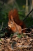 Filename=385_fotowilga~0.JPG
Filesize=75KB
Dimensions=360x540
Date added=Apr 24, 2012 385_fotowilga~0.JPG