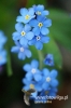 Filename=387_fotowilga.JPG
Filesize=93KB
Dimensions=360x540
Date added=Mar 30, 2012 387_fotowilga.JPG