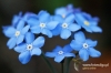 Filename=389_fotowilga.JPG
Filesize=124KB
Dimensions=720x480
Date added=Mar 30, 2012 389_fotowilga.JPG
