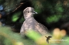 Filename=404_fotowilga~0.JPG
Filesize=82KB
Dimensions=720x480
Date added=Jun 30, 2012 404_fotowilga~0.JPG
