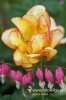 Filename=412_fotowilga.JPG
Filesize=96KB
Dimensions=360x540
Date added=Mar 27, 2012 412_fotowilga.JPG