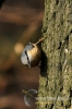 Filename=422_fotowilga~2.JPG
Filesize=99KB
Dimensions=360x540
Date added=Feb 29, 2012 422_fotowilga~2.JPG