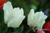 Filename=443_fotowilga.JPG
Filesize=107KB
Dimensions=720x480
Date added=Apr 09, 2012 443_fotowilga.JPG