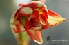 Filename=451_fotowilga~0.JPG
Filesize=274KB
Dimensions=720x480
Date added=Mar 13, 2012 451_fotowilga~0.JPG