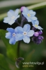 Filename=497_fotowilga.JPG
Filesize=79KB
Dimensions=360x540
Date added=May 19, 2012 497_fotowilga.JPG