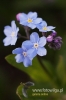 Filename=498_fotowilga.JPG
Filesize=80KB
Dimensions=360x540
Date added=May 19, 2012 498_fotowilga.JPG