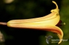 Filename=498_fotowilga~1.JPG
Filesize=90KB
Dimensions=720x480
Date added=Jul 26, 2011 498_fotowilga~1.JPG