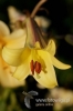Filename=499_fotowilga~1.JPG
Filesize=73KB
Dimensions=360x540
Date added=Jul 26, 2011 499_fotowilga~1.JPG