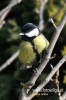 Filename=500_fotowilga~2.JPG
Filesize=75KB
Dimensions=360x540
Date added=Mar 03, 2012 500_fotowilga~2.JPG