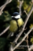 Filename=501_fotowilga~4.JPG
Filesize=74KB
Dimensions=360x540
Date added=Mar 03, 2012 501_fotowilga~4.JPG