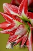 Filename=504_fotowilga.JPG
Filesize=107KB
Dimensions=360x540
Date added=Mar 13, 2012 504_fotowilga.JPG