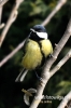 Filename=504_fotowilga~4.JPG
Filesize=74KB
Dimensions=360x540
Date added=Mar 03, 2012 504_fotowilga~4.JPG