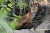 Filename=509_fotowilga~0.JPG
Filesize=153KB
Dimensions=720x480
Date added=Jul 04, 2012 509_fotowilga~0.JPG