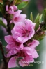 Filename=538_fotowilga.JPG
Filesize=90KB
Dimensions=360x540
Date added=May 27, 2012 538_fotowilga.JPG
