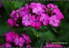 Filename=541_fotowilga~0.JPG
Filesize=156KB
Dimensions=720x500
Date added=Feb 08, 2012 541_fotowilga~0.JPG