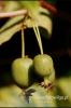 574-crop_[wilga].JPG