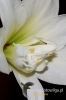 Filename=637_fotowilga~0.JPG
Filesize=79KB
Dimensions=360x540
Date added=Mar 12, 2012 637_fotowilga~0.JPG