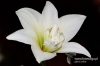 Filename=638_fotowilga~0.JPG
Filesize=88KB
Dimensions=720x480
Date added=Mar 13, 2012 638_fotowilga~0.JPG