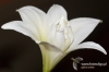 Filename=639_fotowilga.JPG
Filesize=113KB
Dimensions=720x480
Date added=Mar 13, 2012 639_fotowilga.JPG